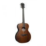 Lâg sauvage - a - guitare acoustique sauvage auditorium Lâg sauvage - a - guitare acoustique sauvage auditorium
