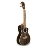 Lanikai it zr - cec - ukel�l� concert a ziricoote avec pr�ampli