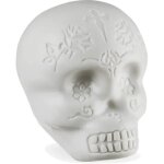 Latin percussion lp006 - glo skull shaker glow in the dark