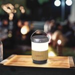 Lenco btl - 030ba lampe (40?h, fonctionnement sur batterie), enceinte bluetooth, blanc, marron