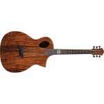 Michael kelly forte port koa - guitare eletctroacoustique - rosace ''port tech'' - gloss koa