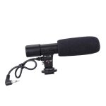 Microphone d'enregistrement pour camscope stro