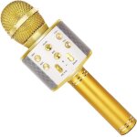 Microphone karaok bluetooth sans fil avec haut - parleur, fonction d'enregistrement - meilleur cadeau ...