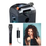 Microphone sans fil avec r�cepteur portable par batterie - r�cepteur sans fil connecteur 6, 35mm