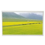 Module d'affichage dvi professionnel 10. 1 pouces, rsolution 1024 × 600, menu osd intgr, panneau ...