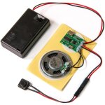 , module de puce sonore mp3, mémoire de 4 mo, avec boîtier de piles aaa. créez vos propres cadeaux, modèles ... , module de puce sonore mp3, mémoire de 4 mo, avec boîtier de piles aaa. créez vos propres cadeaux, modèles ...