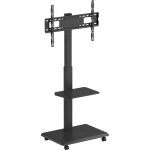 Mounts vision plus