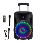 N - gear the flash 1205 enceinte portable 12 pouces