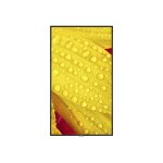 Nec multisync me431 - 43  me series cran lcd rtro - clair par led - signalisation numrique - 4k ...