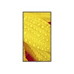 Nec multisync me501 - classe de diagonale 50  me series cran lcd rtro - clair par led - signalisation ...