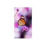 Nec multisync un552vs - 55  cran lcd rtro - clair par led - signaltique numrique interactive - ...