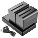 Neewer lot de 2 batteries de rechange li - ion 6600 mah avec chargeur usb, compatible avec sony np - ...