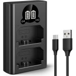Np - fz100 batterie chargeur avec double emplacement et cran lcd, chargeur micro usb et type - c pour ...