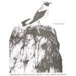 Olivier messiaen : catalogue d'oiseaux, pour piano, livre 2 volume 2 - conducteur piano 9790046229404 ...