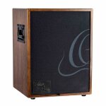 Ortega cone - wnd - ampli combo guitare acoustique - 100w ( + housse)