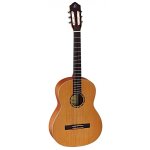 Ortega r122sn - guitare classique - naturel satiné ( + housse) Ortega r122sn - guitare classique - naturel satiné ( + housse)