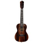 Ortega ruet - eb elite series concert size ukulele ebony ukul�l� concert electro - acoustique avec housse ...