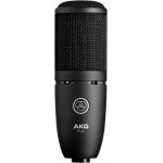 P120 microphone electrostatique d¿enregistrement studio P120 microphone electrostatique d¿enregistrement studio