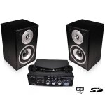 Pack karaoke hc800 - bk usb / sd 100w + hauts - parleurs + 2 micros filaires