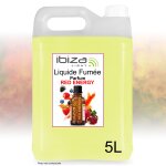 Pack liquide � fum�e - bidon de 5 litres liquide ibiza light smoke5l - n pour machine � fum�e - fiole ...
