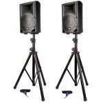 Paire d'enceintes 300w satelittes 8 / 20cm Paire d'enceintes 300w satelittes 8 / 20cm