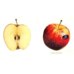 Parlophone : a flavor of the label 4 - radiohead , blur , blind melon , smoking popes, foo fighters