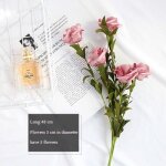 Pâte de haricots rouges - roses artificielles vintage style ins, décoration de table, fleurs pour cosmétiques, ... Pâte de haricots rouges - roses artificielles vintage style ins, décoration de table, fleurs pour cosmétiques, ...