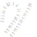 Piano numrique, autocollant piano, synthetiseur, dbutants, piano, amovible et non adhsif etiquettes ...