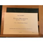 Pierre paubon etudes mlodiques pour flte bec soprano volume 1 (dbutant) ed. leduc