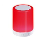 Platinet pdlsb01 haut - parleur portable (fonctionnement sur piles), enceinte bluetooth