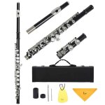 Slade - flûte a 16 trous fermés avec clés c, accessoire de calcul de flûte transversale avec etui a clé ... Slade - flûte a 16 trous fermés avec clés c, accessoire de calcul de flûte transversale avec etui a clé ...