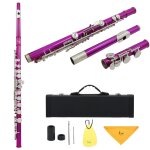 Slade - flûte a 16 trous fermés avec clés c, accessoire de calcul de flûte transversale avec etui a clé ... Slade - flûte a 16 trous fermés avec clés c, accessoire de calcul de flûte transversale avec etui a clé ...