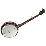Stagg bjm30 dl - banjo bluegrass deluxe 5 cordes