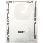 Stray kids skz - 1st album go live, [a type]
