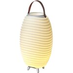 Synergy 50 lampe d'enceinte portable avec rafra�chisseur de vin - lumi�re led, haut - parleur sans fil ...