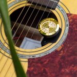 Systme de soins d'humidit pour guitare acoustique, humidificateur et hygromtre, 2 - en - 1