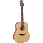 Takamine - gd20 - ns