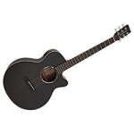 Tanglewood twbb sfce black bird - guitare electro - acoustique