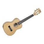 Tanglewood twt 11 tiare - ukulele concert