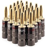 Tianyi - - fiches bananes premium - connecteur plaqué or 24k et double vis - prise jack banane pour hifi ... Tianyi - - fiches bananes premium - connecteur plaqué or 24k et double vis - prise jack banane pour hifi ...