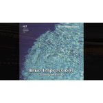 Tommy halferty, christophe lavergne, jean - philippe lavergne - hlt ¿ blue impressions - cd album Tommy halferty, christophe lavergne, jean - philippe lavergne - hlt ¿ blue impressions - cd album