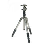 Trpied slik rover a