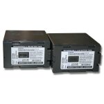 Vhbw 2x batterie compatible avec panasonic nv - ds27, nv - ds25, nv - ds30, nv - ds3, nv - ds29, nv - ...