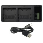 Vhbw chargeur double compatible avec jvc gy - hc500spc, gy - hc500u, gy - hc550, gy - hc550e camra, ...