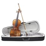 Violon de sculpture sur bois d'pica 4 / 4 avec etui muet pour cordes d'arc