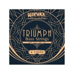 Warwick 44200 - triumph bass . 049 - . 107 jeu cordes contrebasse