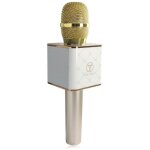 Xinban q7 portable lecteur karaok avec haut - parleurs sans fil bluetooth et wireless handheld microphone ...