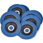10 disques abrasifs � lamelles � 125 mm x 22. 2 mm grain 60 disques � lamelles disques � meuler pour ...