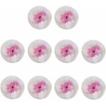 10 pices manchons de rechange pour lampes  pression lampe  ptrole lampe  gaz