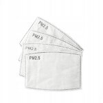10x filtre hepa pm 2. 5 carbone pour masques 10 pi�ces